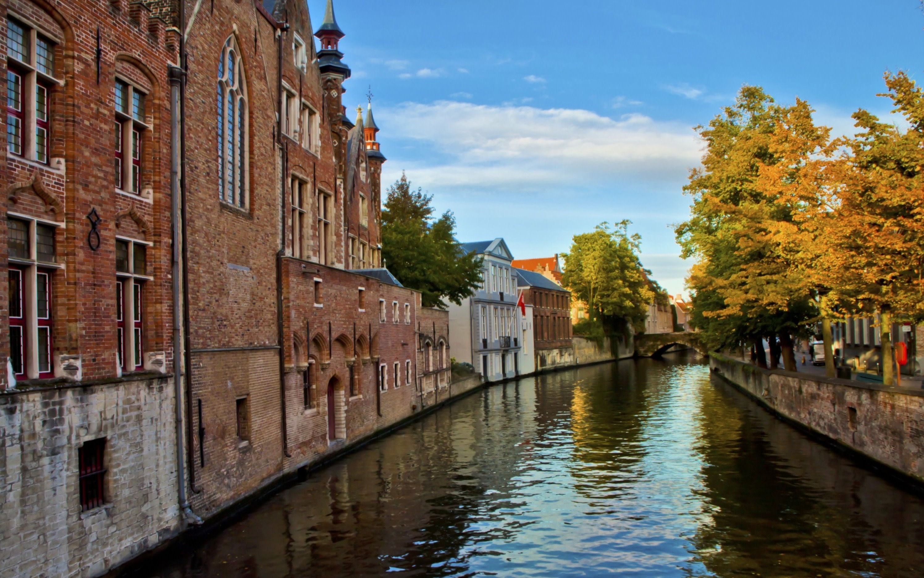 Bruges Guided Day Tour from Paris