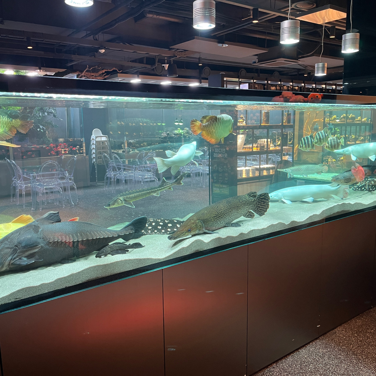 加平自然之旅：Aqua Garden、Begonia Bird Garden和SeenB動物園