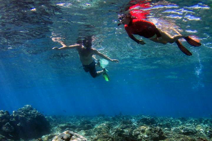 巴厘島圖蘭本PADI五星級潛水中心浮潛體驗