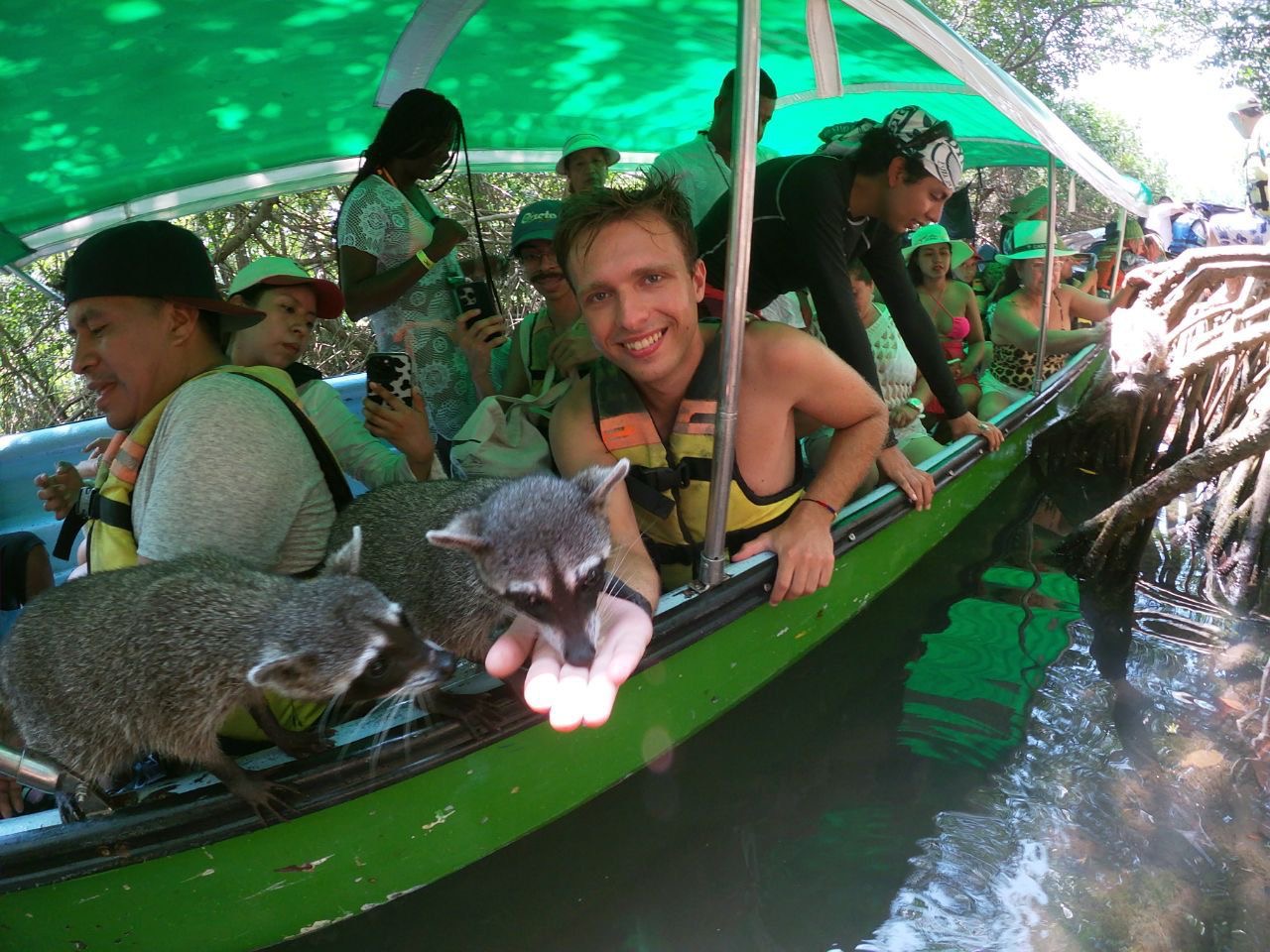 Full Day Barú island: Mangrove +Snorkel + Sunset + Plankton