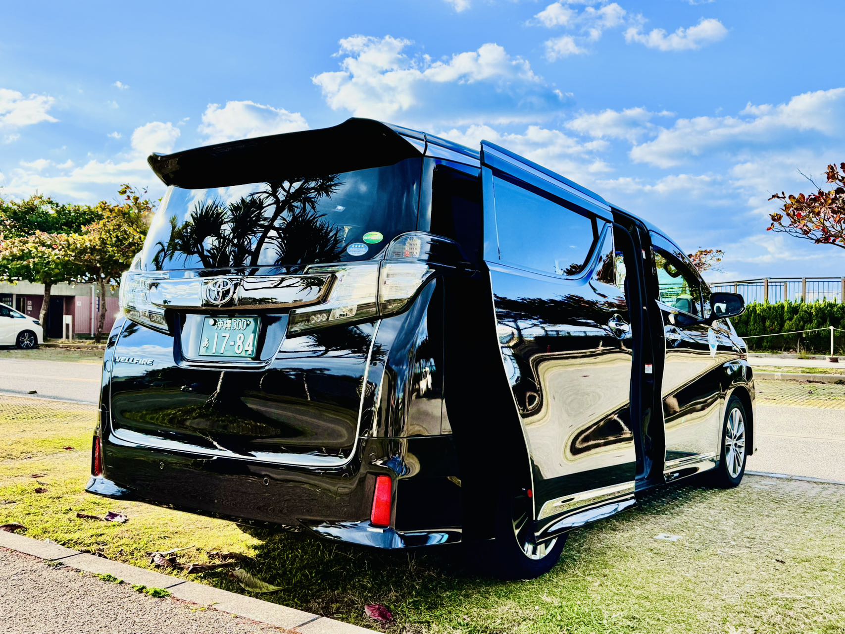 Luxury 7-seater Alfa 3