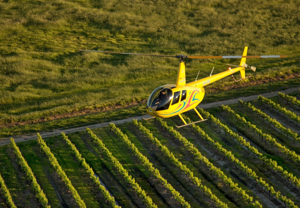 Behind the Scenes Winery and Vineyard Experience 