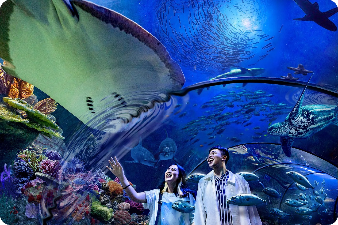 雅加達夢幻海洋世界