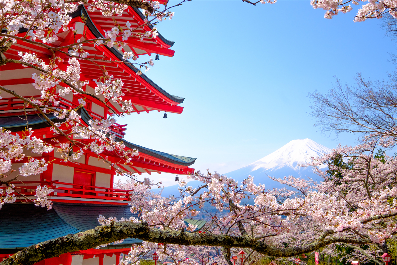 富士山探索之旅-新倉山淺間公園·天梯小鎮·忍野八海·河口湖大石公園·西湖療愈里根場一日遊