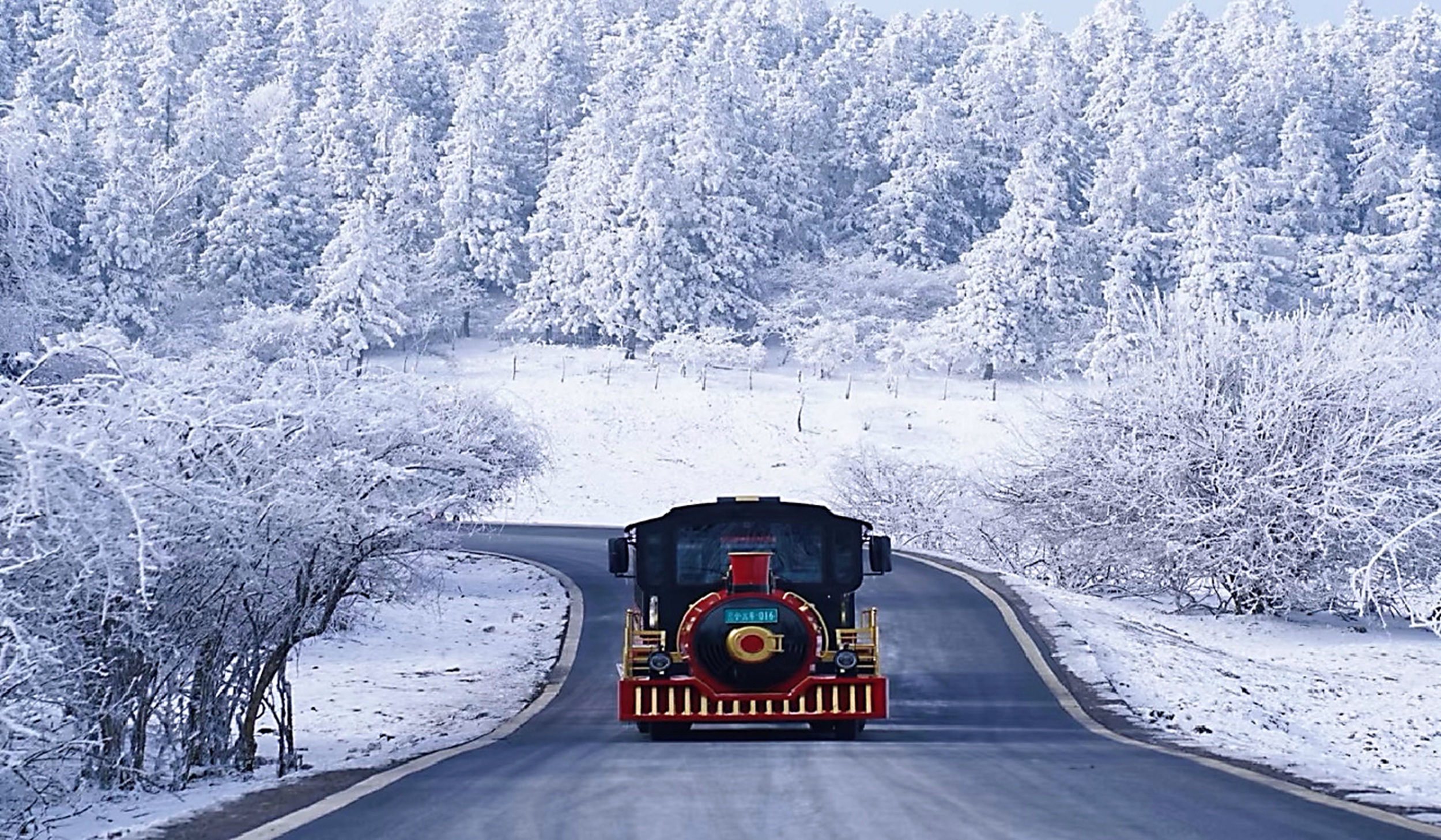 冬天的仙女山直接變身雪國童話世界,這裡好像瘋狂動物城裡的冰川鎮~ 冬天的仙女山直接變身雪國童話世界,這裡好像瘋狂動物城裡的冰川鎮~