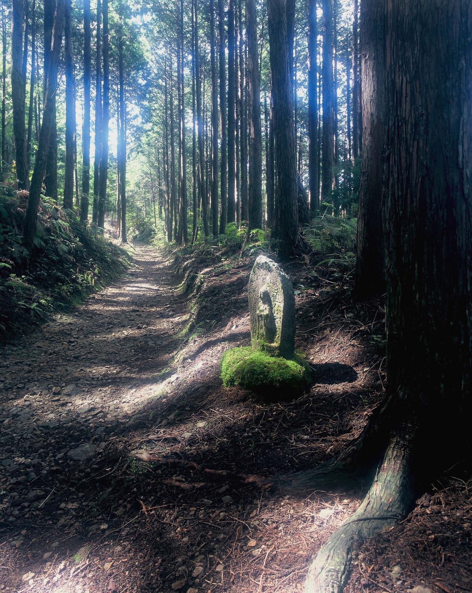 熊野古道世界遺產徒步之旅