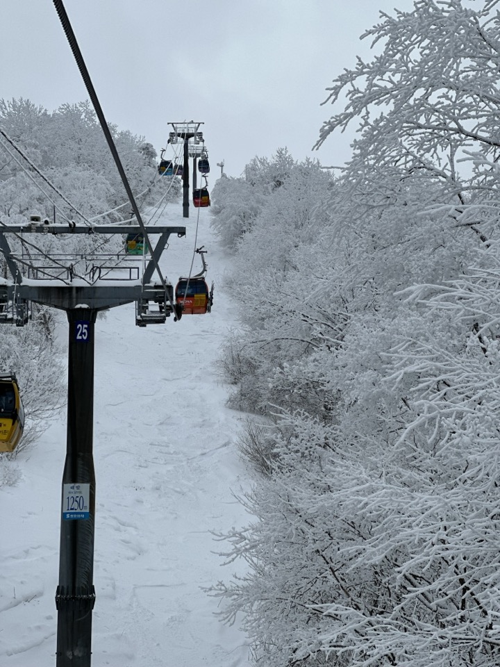 韓國冬季龍平滑雪場一日遊（首爾出發）