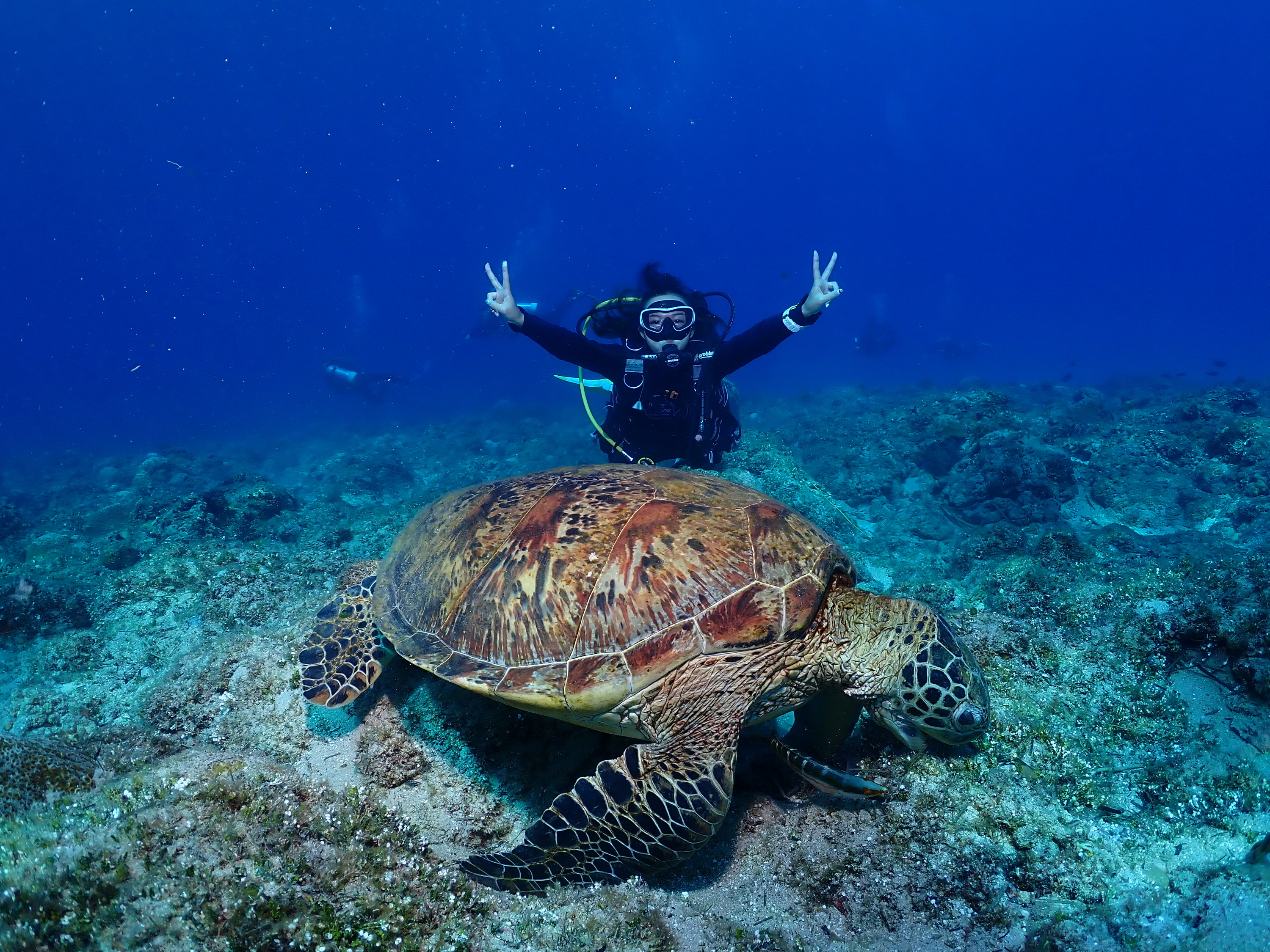 Little Liuqiu Meteor Dive Center - Scuba Diving Experience