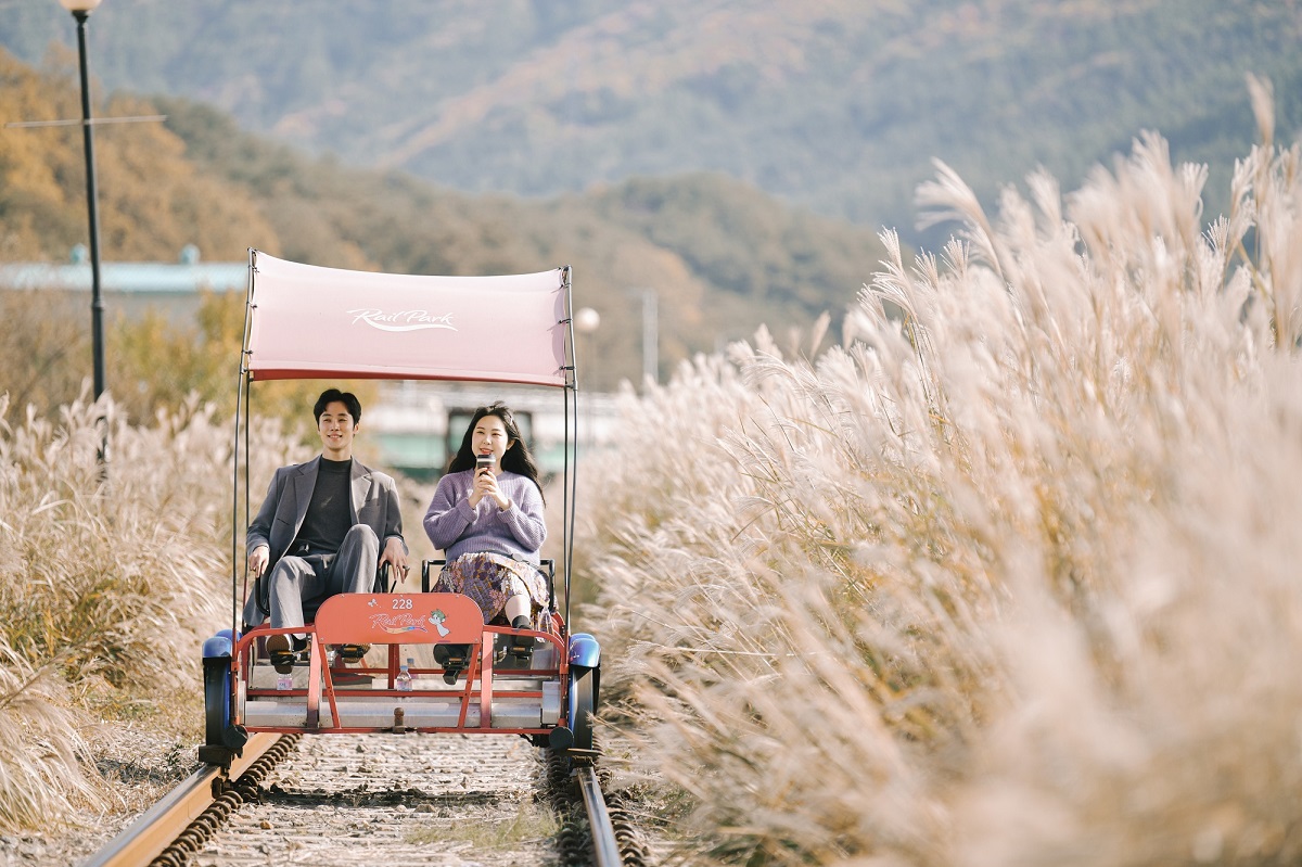 三岳山纜車 / 晨靜樹木園 燈光節 / 採摘草莓 / Eobi冰谷 / 雪橇 一日遊