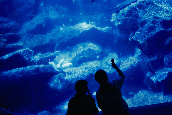 東京墨田水族館門票