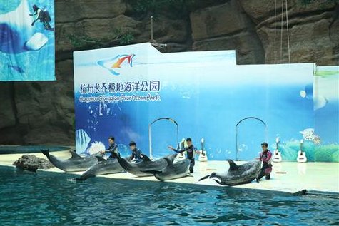 杭州長喬極地海洋公園（中國大陸身份證持有者限定）