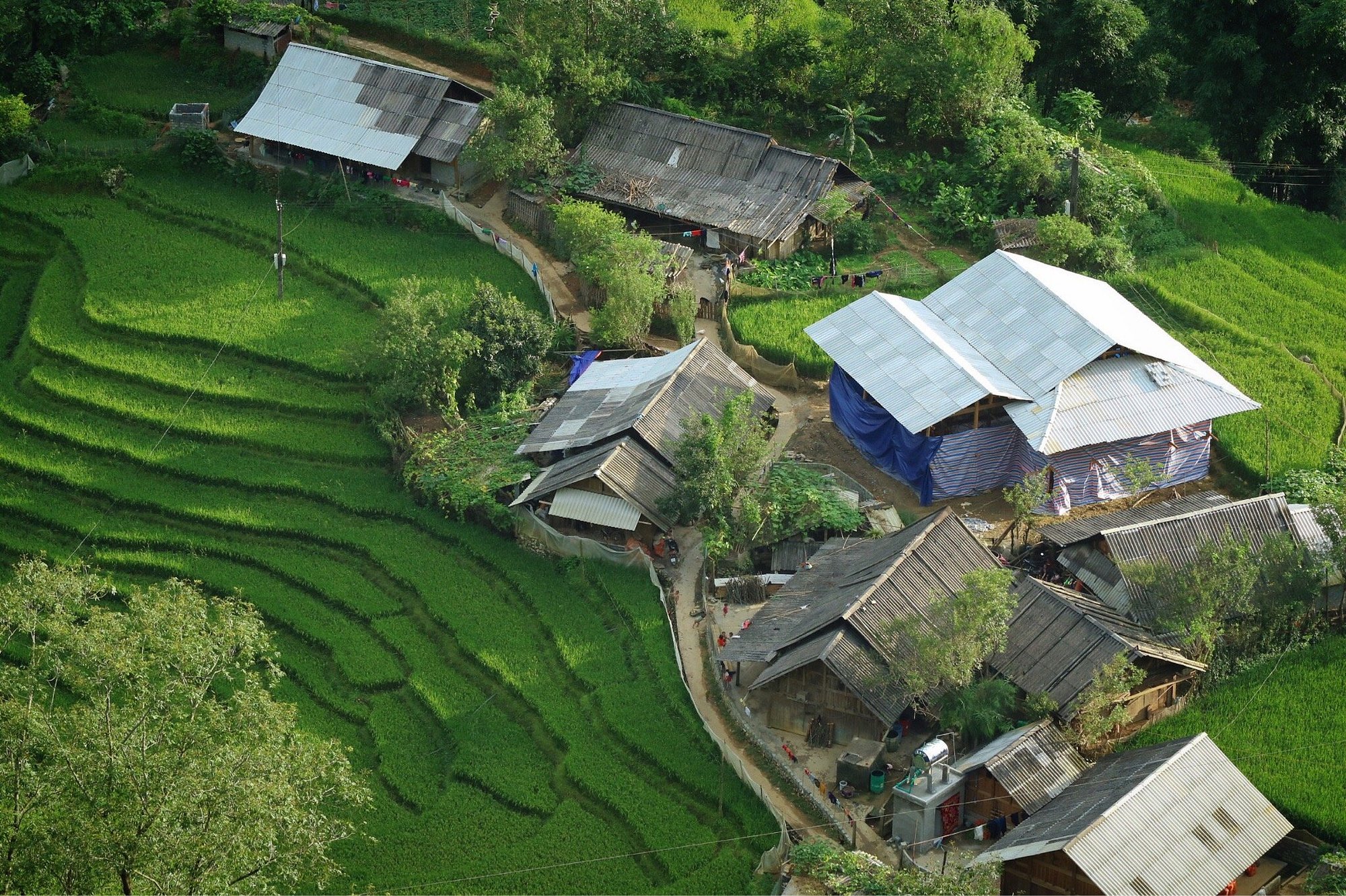 沙巴：紅瑤族草藥足浴和採葉之旅