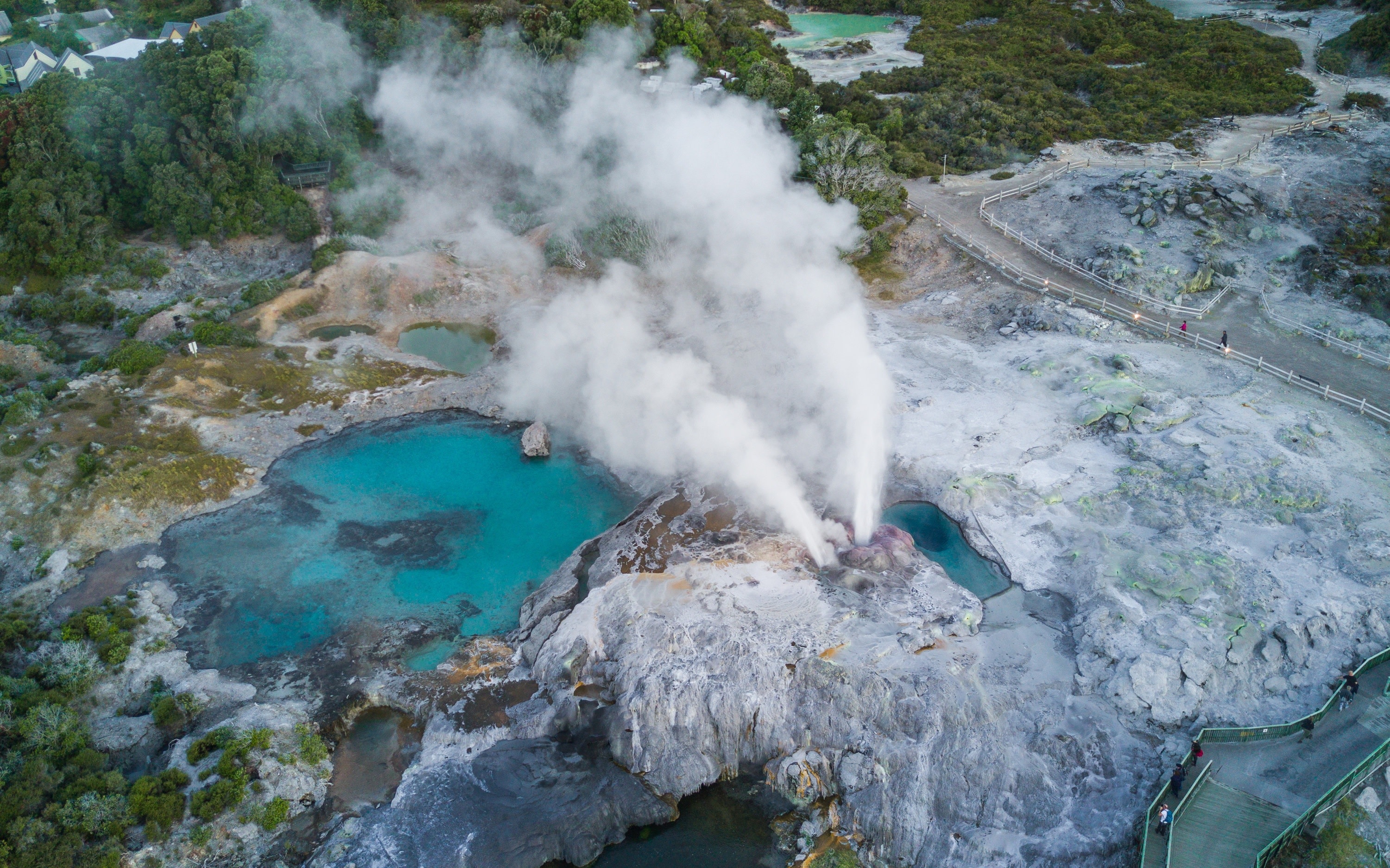 Te Puia, Haka and Polynesian Spa Rotorua Small Group Tour