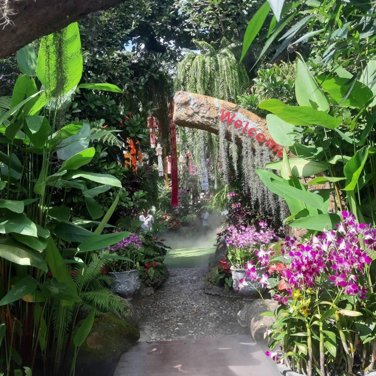 Chiang Rai: Temples Trip with Sang Kaew and Lalitta Cafe