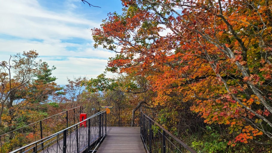 Balwangsan Cable Car from Seoul: Scenic Highland Views&Forest Trails