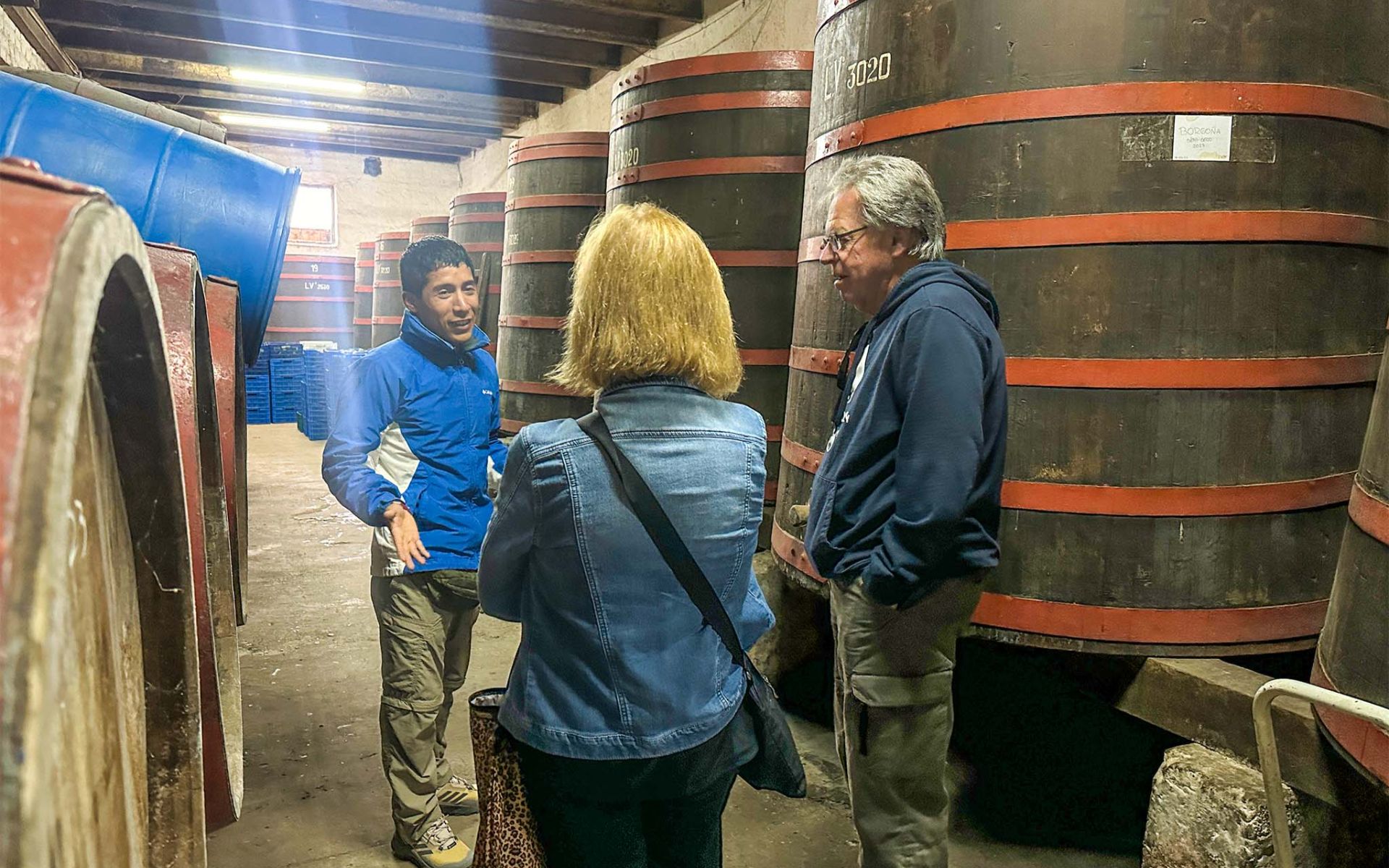 探索大型熟成酒桶，同時學習葡萄酒的釀造技術。