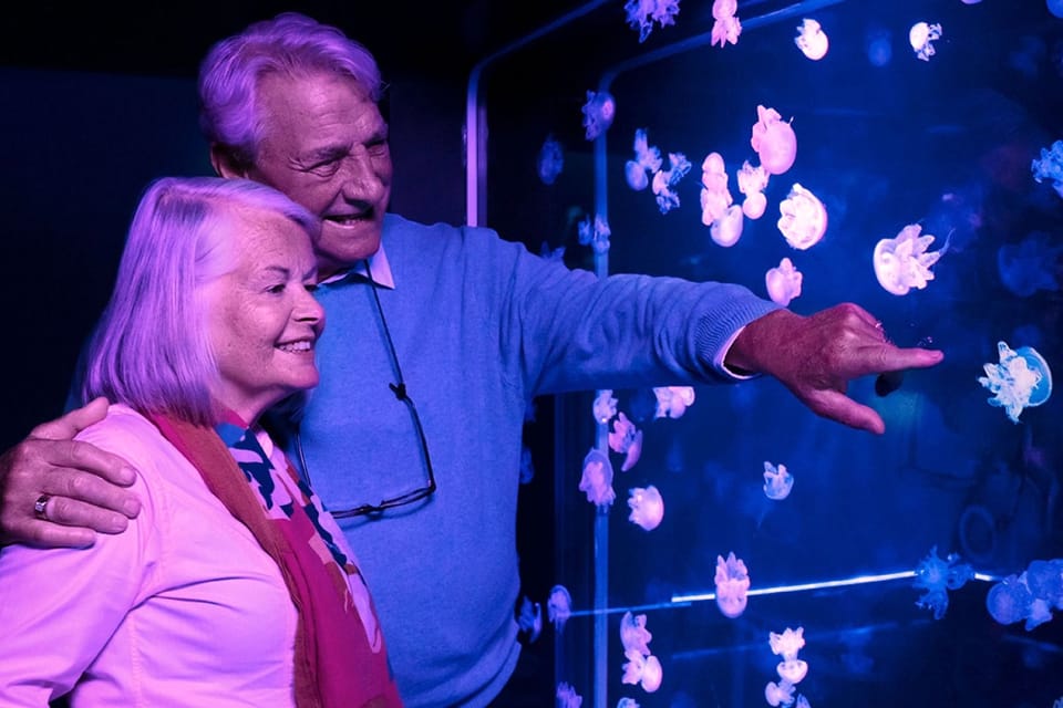 紐澤西州美國夢購物中心 SEA LIFE® 水族館門票