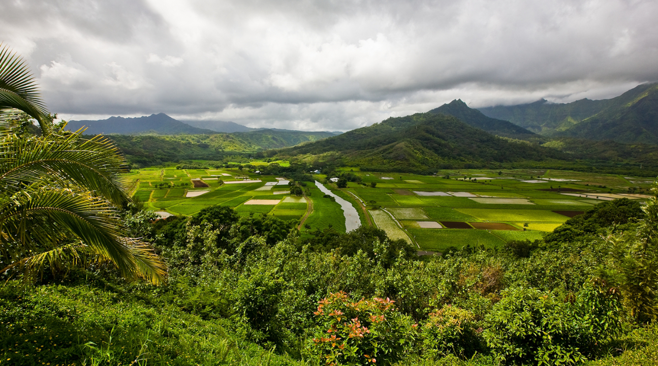 夏威夷考艾島電影場景冒險之旅