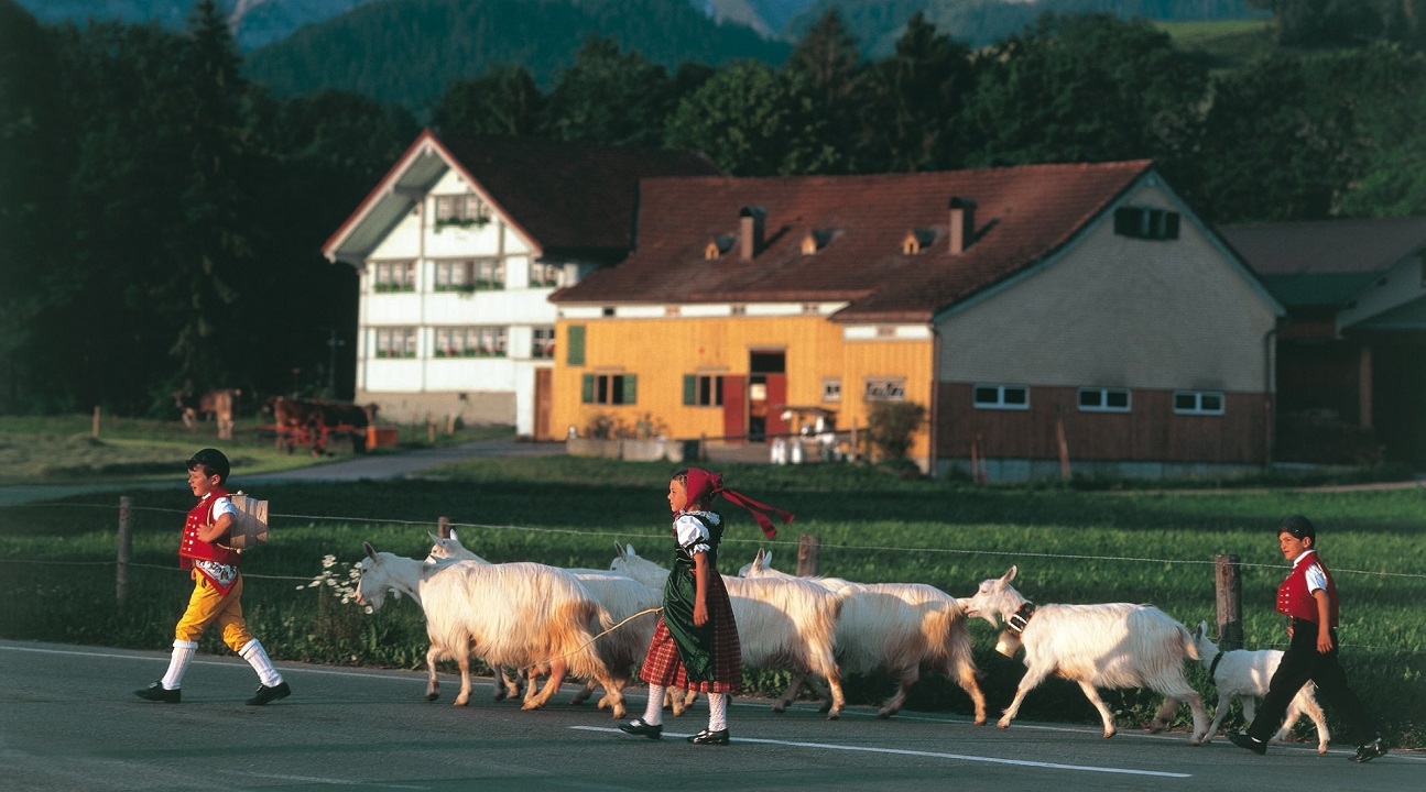 appenzell tour, appenzell tour from zurich, appenzell tourist attractions, swiss traditions tour