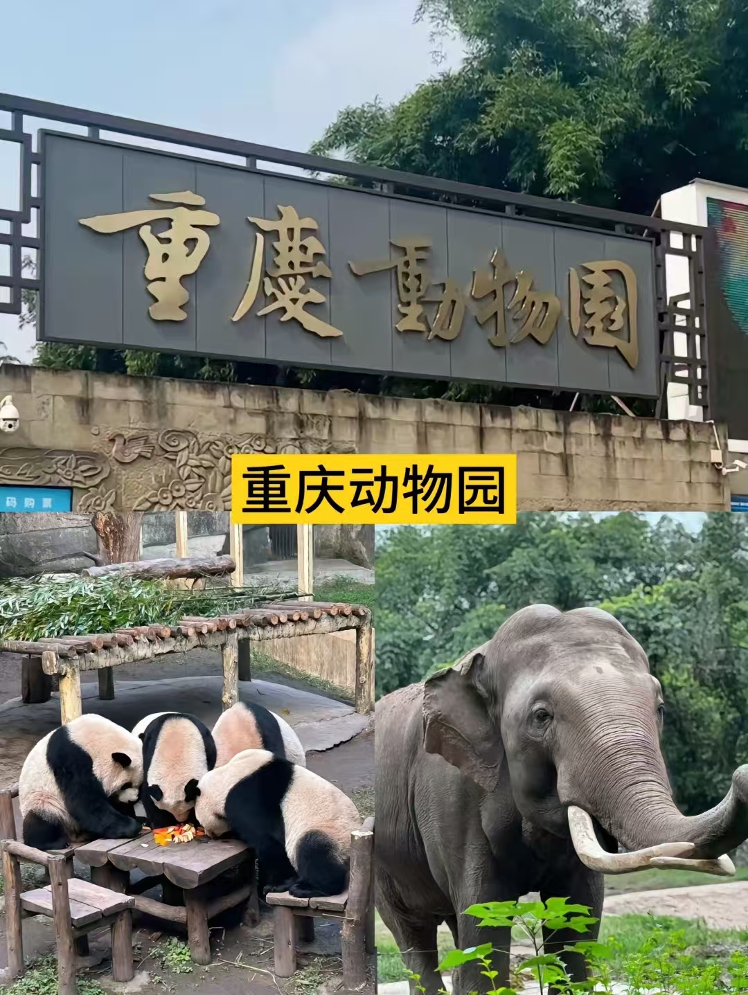 重慶市區/近郊/遠郊包車一日遊