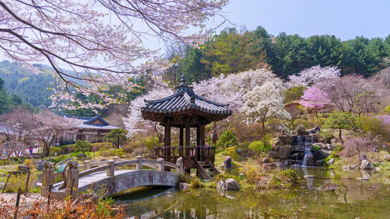 羊駝牧場 / 南怡島 / 江村鐵路自行車 / 晨靜樹木園 / 樂高樂園 /  秋海棠鳥園
