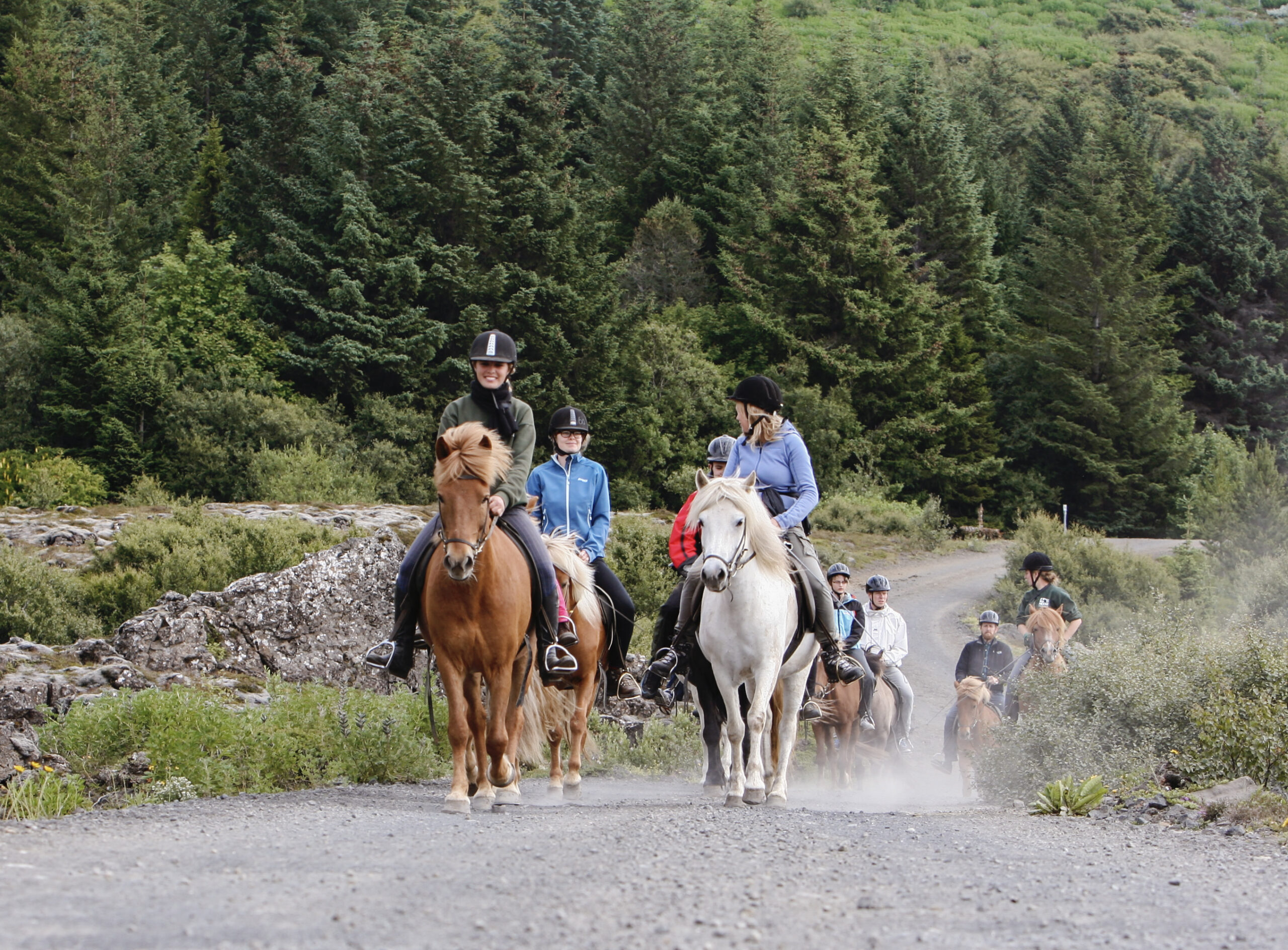 Lava Field Horse Riding Experience from Hafnarfjordur