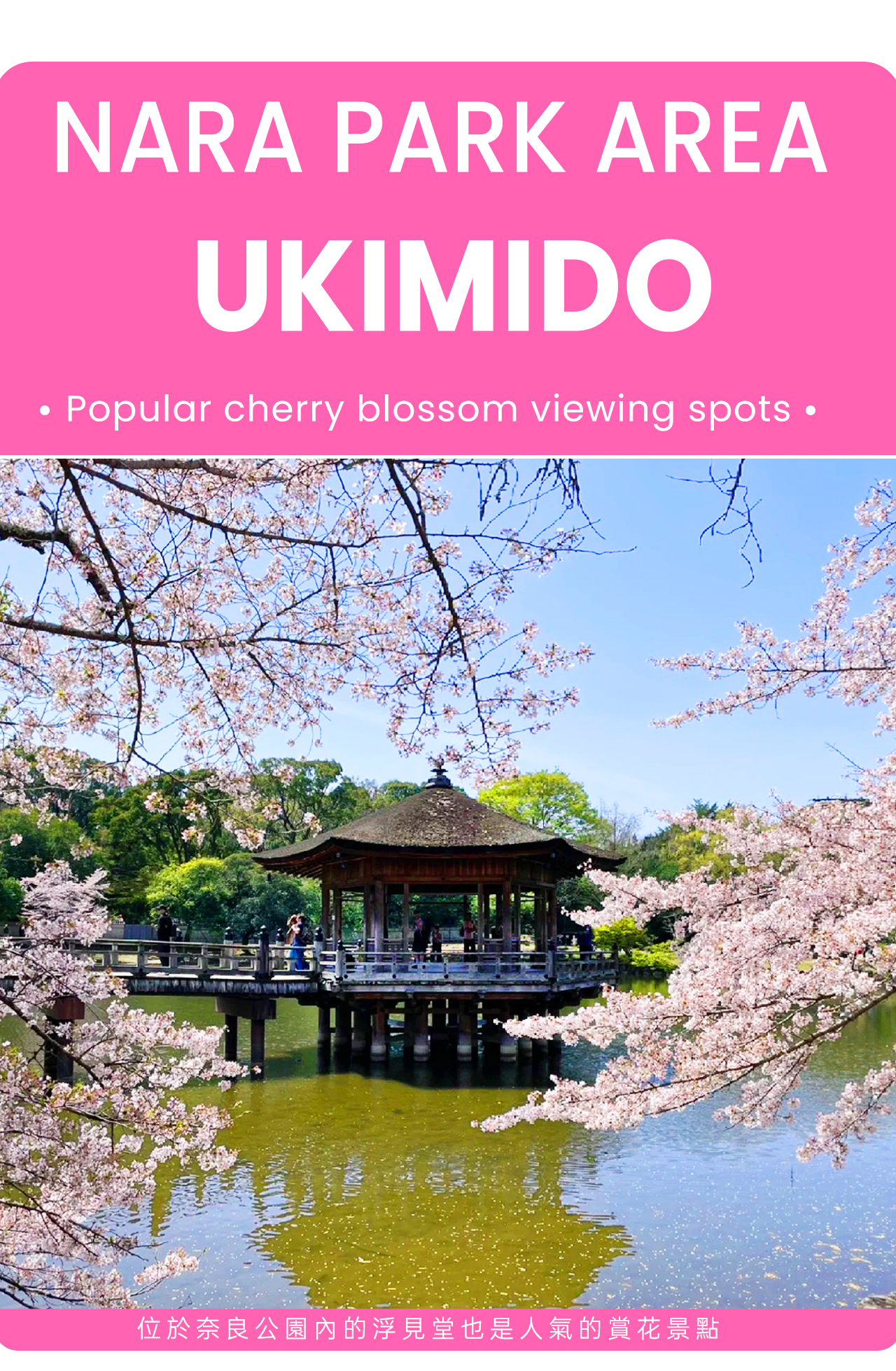 位於奈良公園內的浮見堂也是人氣的賞花景點 位於奈良公園內的浮見堂也是人氣的賞花景點