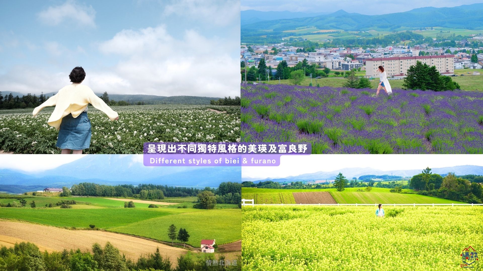 北海道｜夏日富良野浪漫追逐薰衣草花田一日團｜日之岀公園／富田農場／四季彩之丘+白金青池+美瑛牧場｜札幌出發