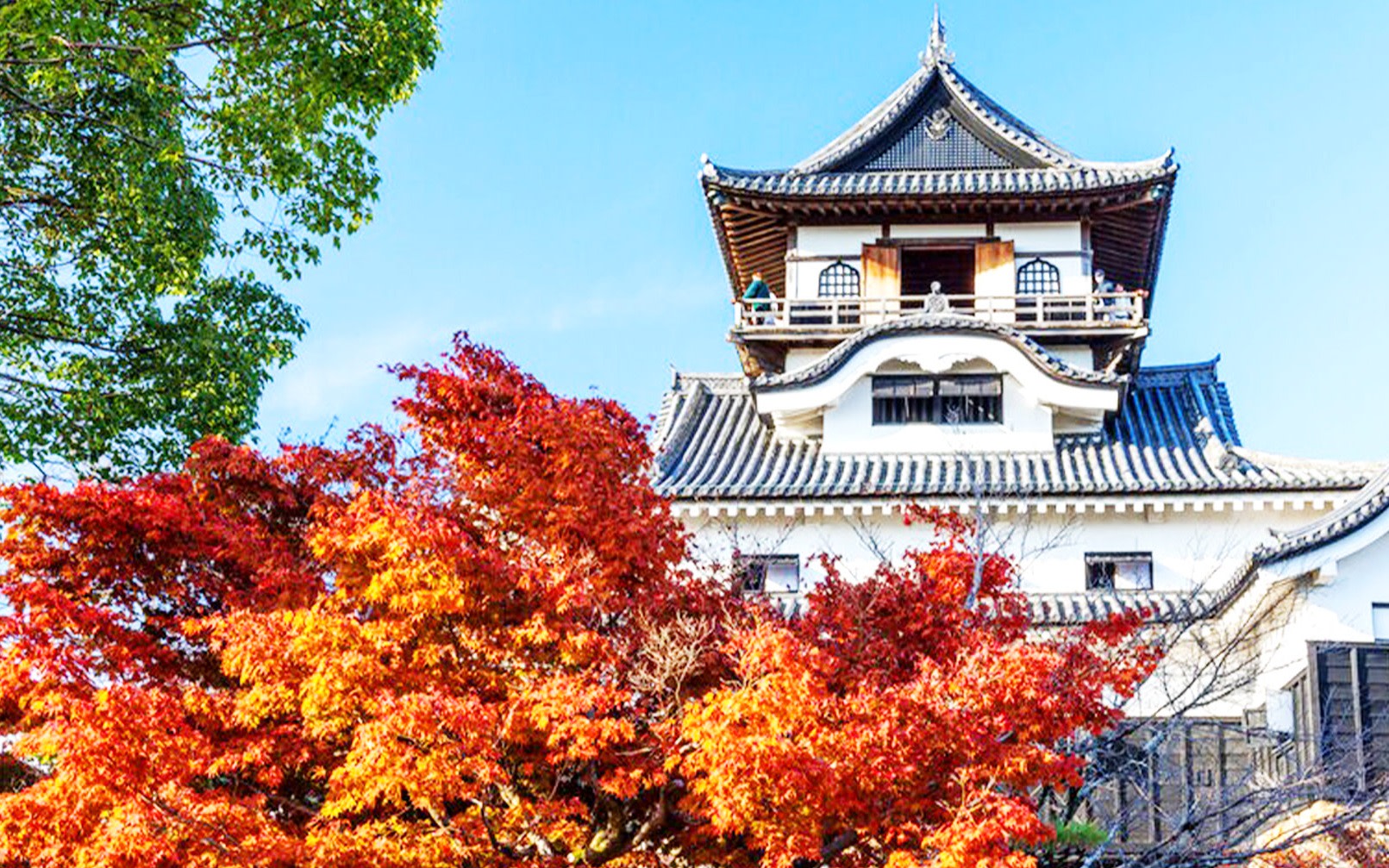 Magome-juku Edo-Era Townscape Walk & Ena Gorge Observatory & Sanko Inari Shrine & Inuyama Castle Day Trip | Departure from Nagoya