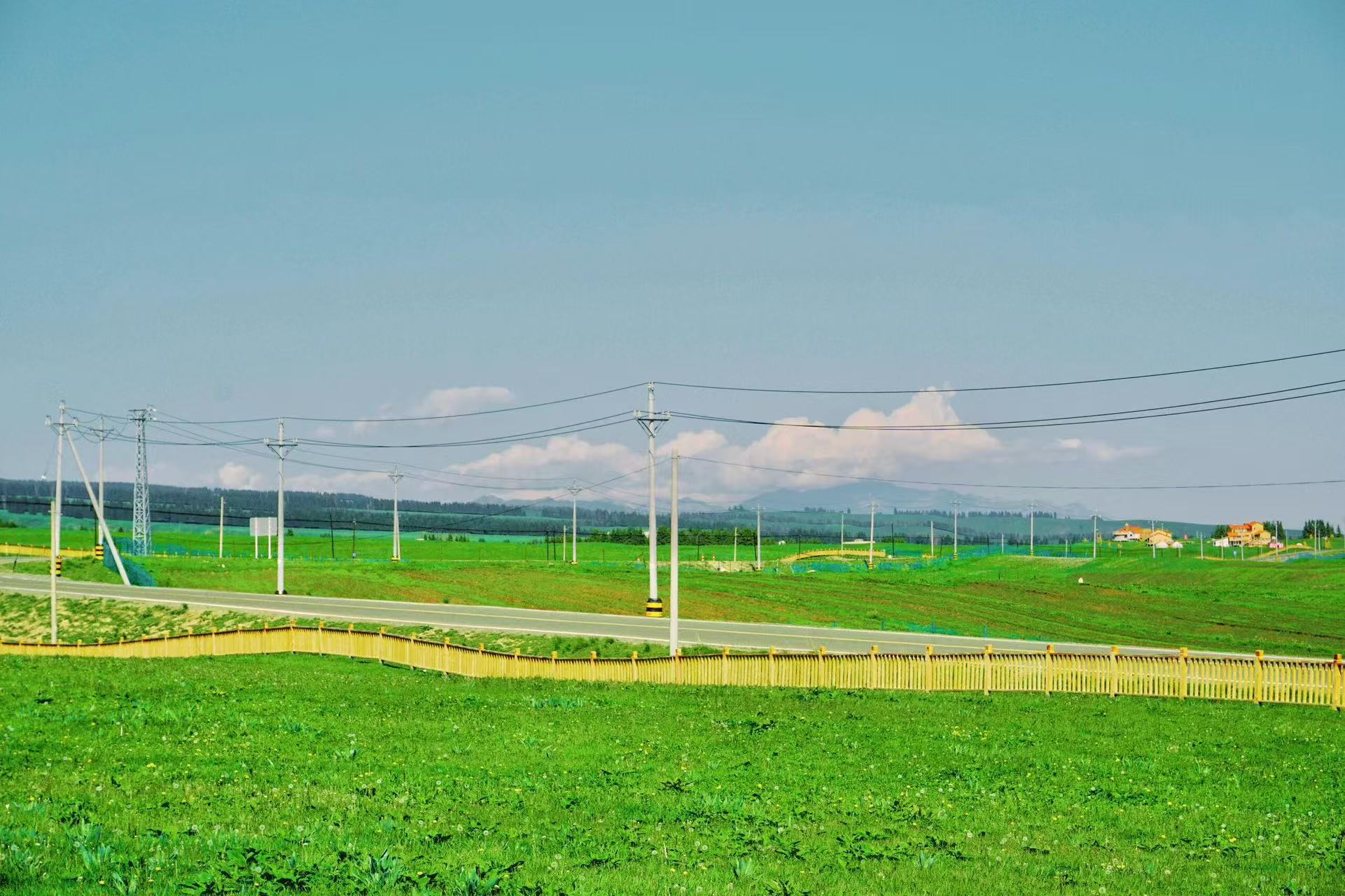 層層青綠山坡遍佈茂密雲杉，褶皺般山巒錯落延伸，遠處雪山覆著薄雪。山坳坐落彩色民居，公路蜿蜒山腳，日光輕灑山林，勾勒出層次豐富的山谷村落畫卷