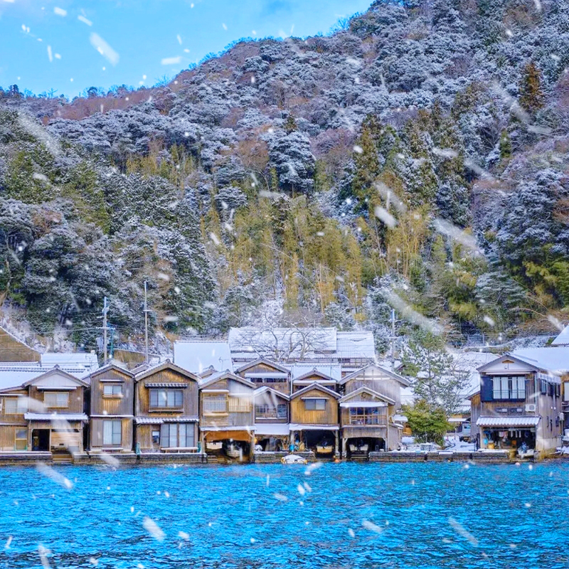 Kyoto by the Sea & Amanohashidate Observation Deck & Chion-ji Temple & Monju-do Hall & Ine Funaya