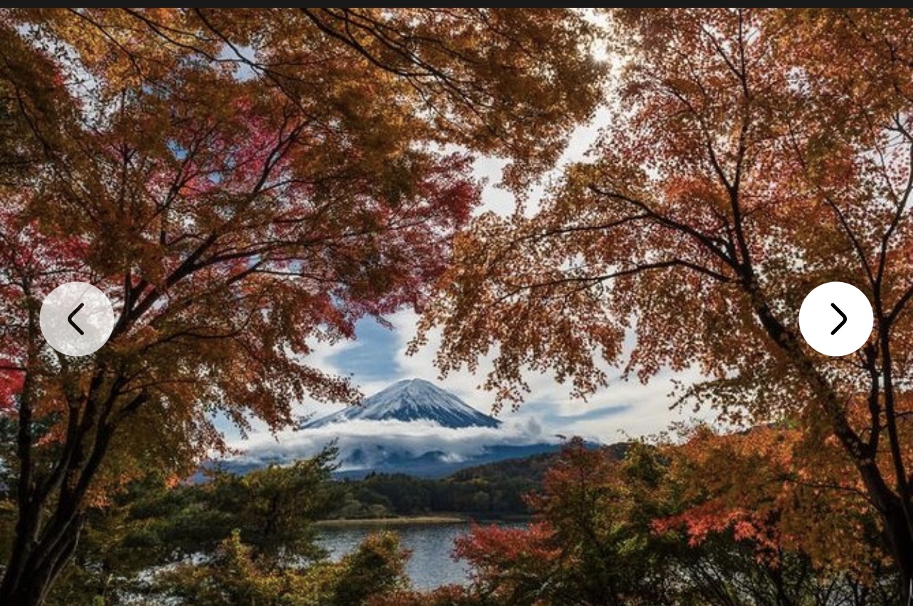 富士山一日私人遊（配有英語司機）
