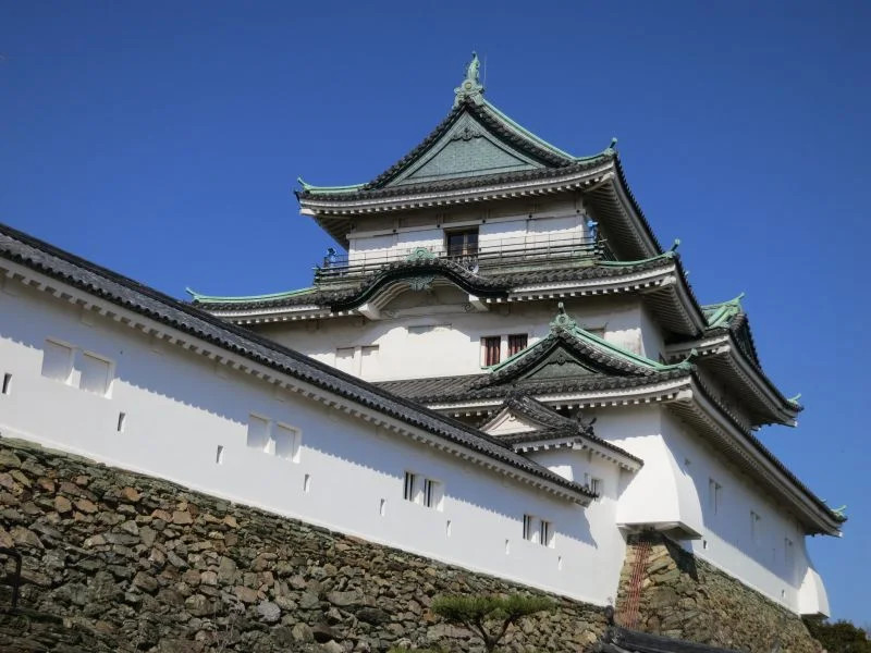 Great value, choose 3, unlock Wakayama