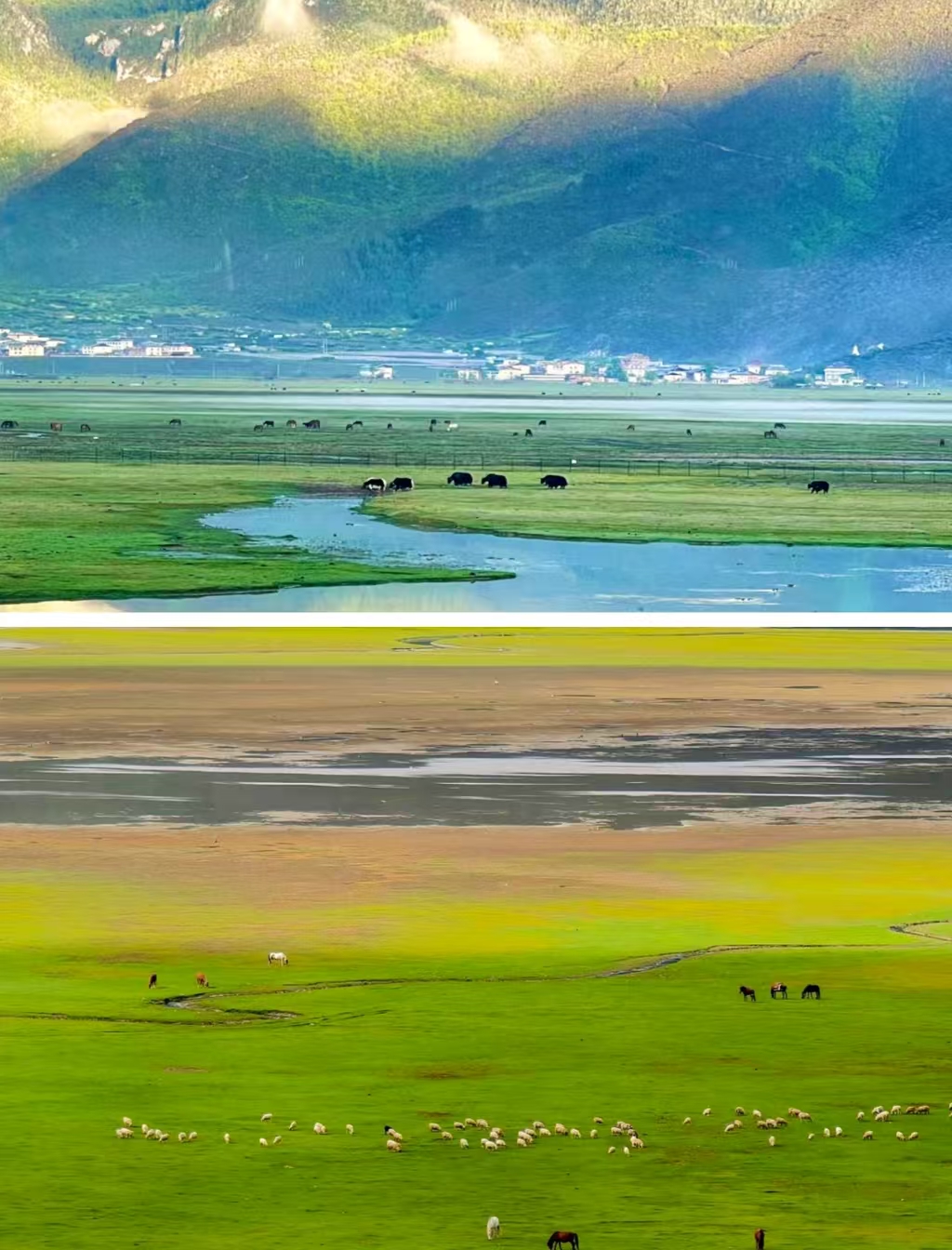 Yunnan Dali Lijiang Shangri-La 5 days (Erhai Shuanglang, Lijiang Old Town, Jade Dragon Snow Mountain Cableway Challenge 4680, Little Potala Palace Songzanlin Temple, Tiger Leaping Gorge)