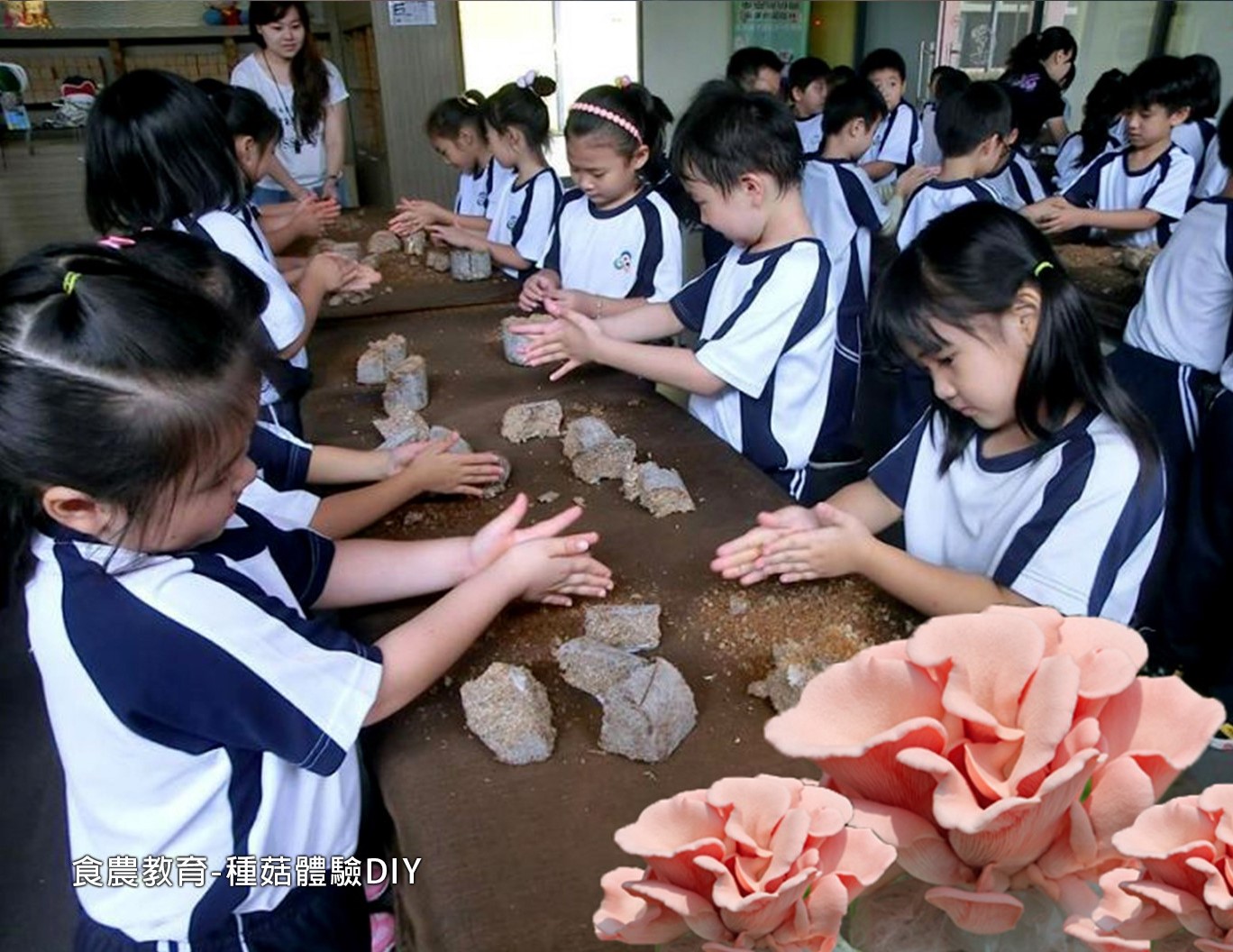 種菇DIY，參與種菇的過程、細心照護再看著菇菇長大，療癒又有成就感