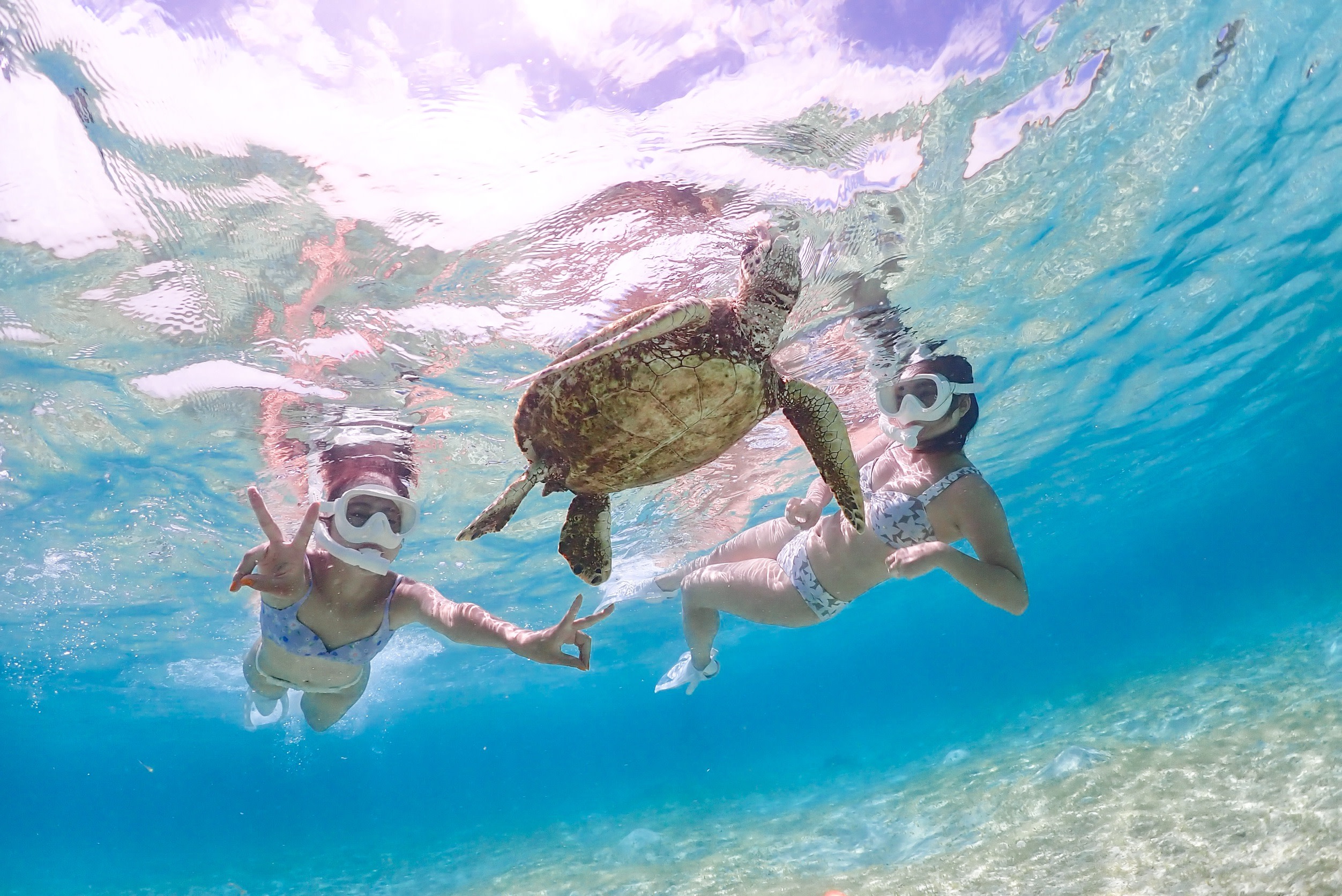 Miyako oroli: Dengiz toshbaqalari bilan snorkeling va tiniq SUP sarguzashti