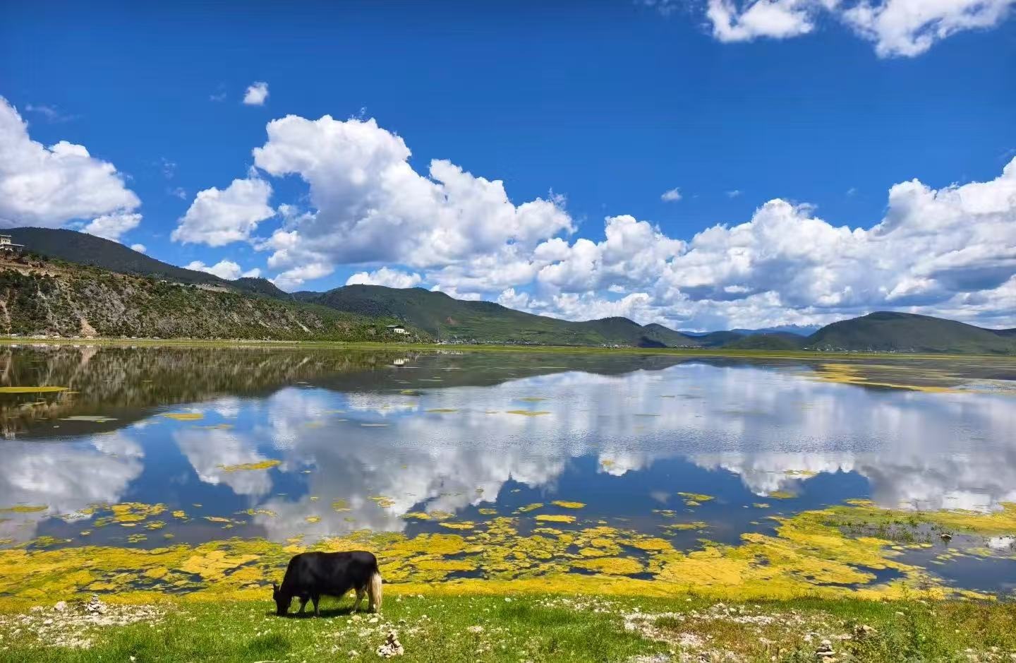 2-Day Lijiang Tour: Yangtze River, Tiger Leaping Gorge, and Dukezong Ancient City of Shangri-La