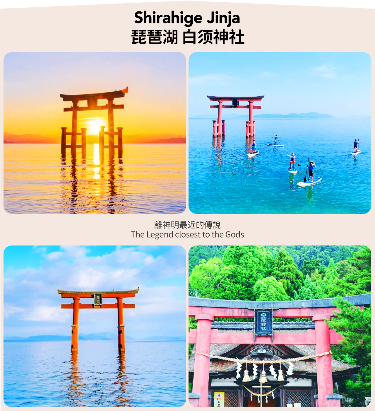 【京都&滋賀琵琶湖】琵琶湖觀景臺&琵琶湖水杉大道&牧野高原溫泉Sarasa&白鬚神社一日遊（大阪/京都出發）