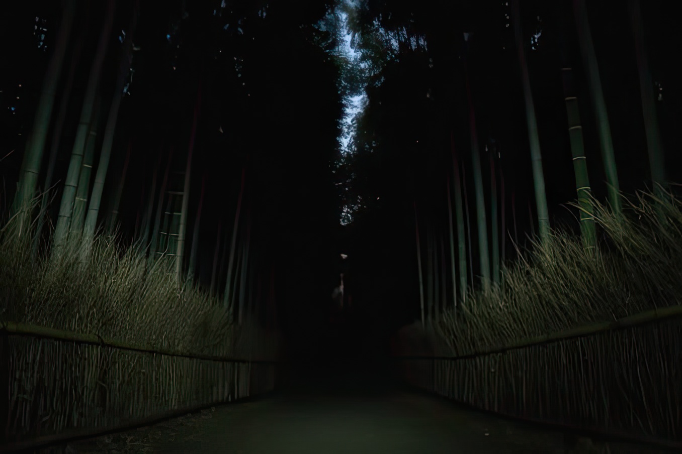 京都市嵐山幽靈狩獵夜遊