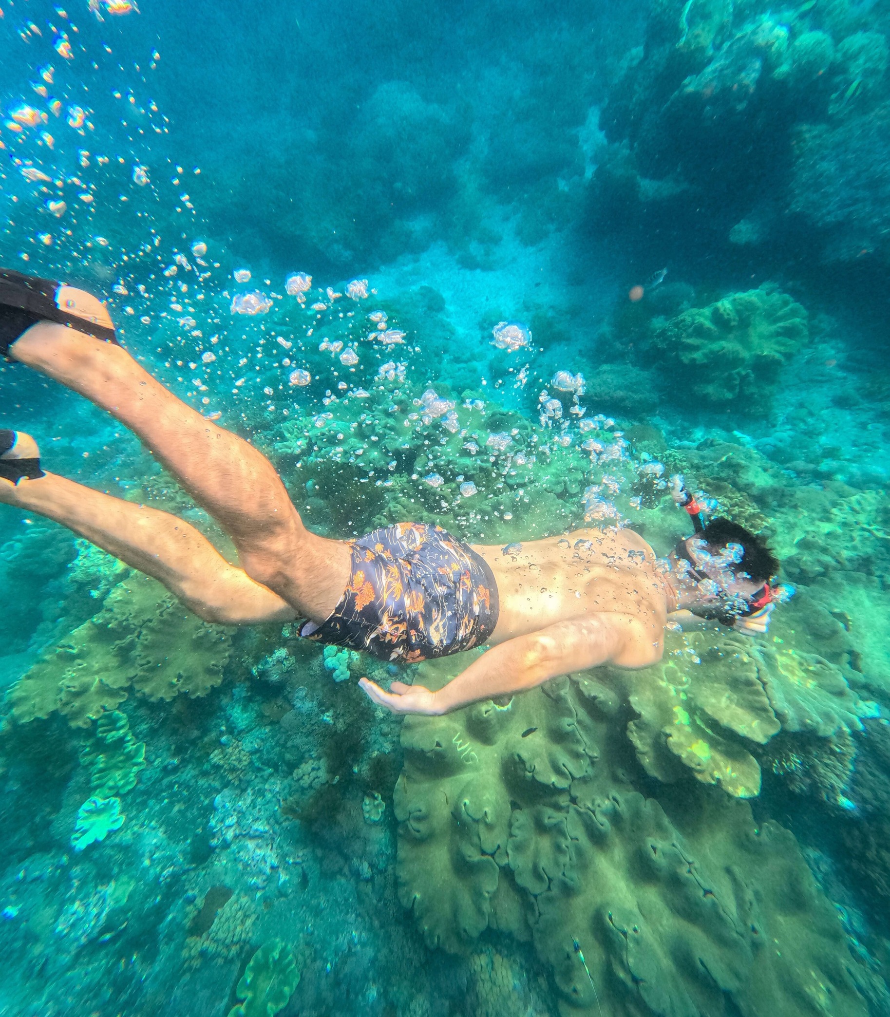 倫邦岸島（Nusa Lembongan）一日遊艇體驗