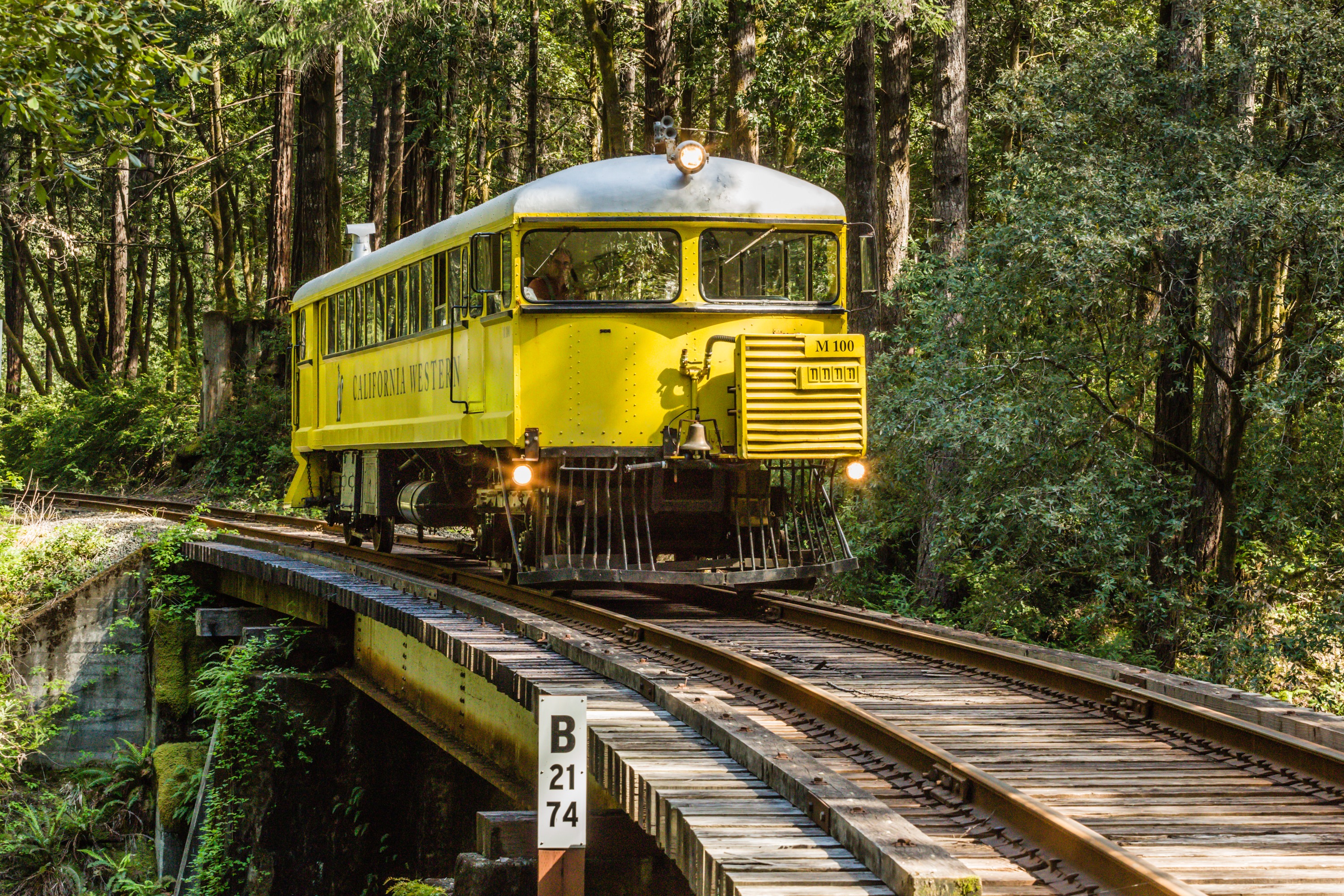 Wolf Tree Turn Scenic Train Tour in Mendocino