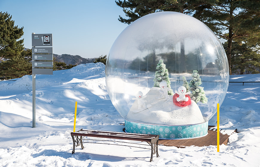 洪川大明維瓦爾第度假村冰雪王國／南怡島／草泥馬樂園／採草莓／五色星光庭園展