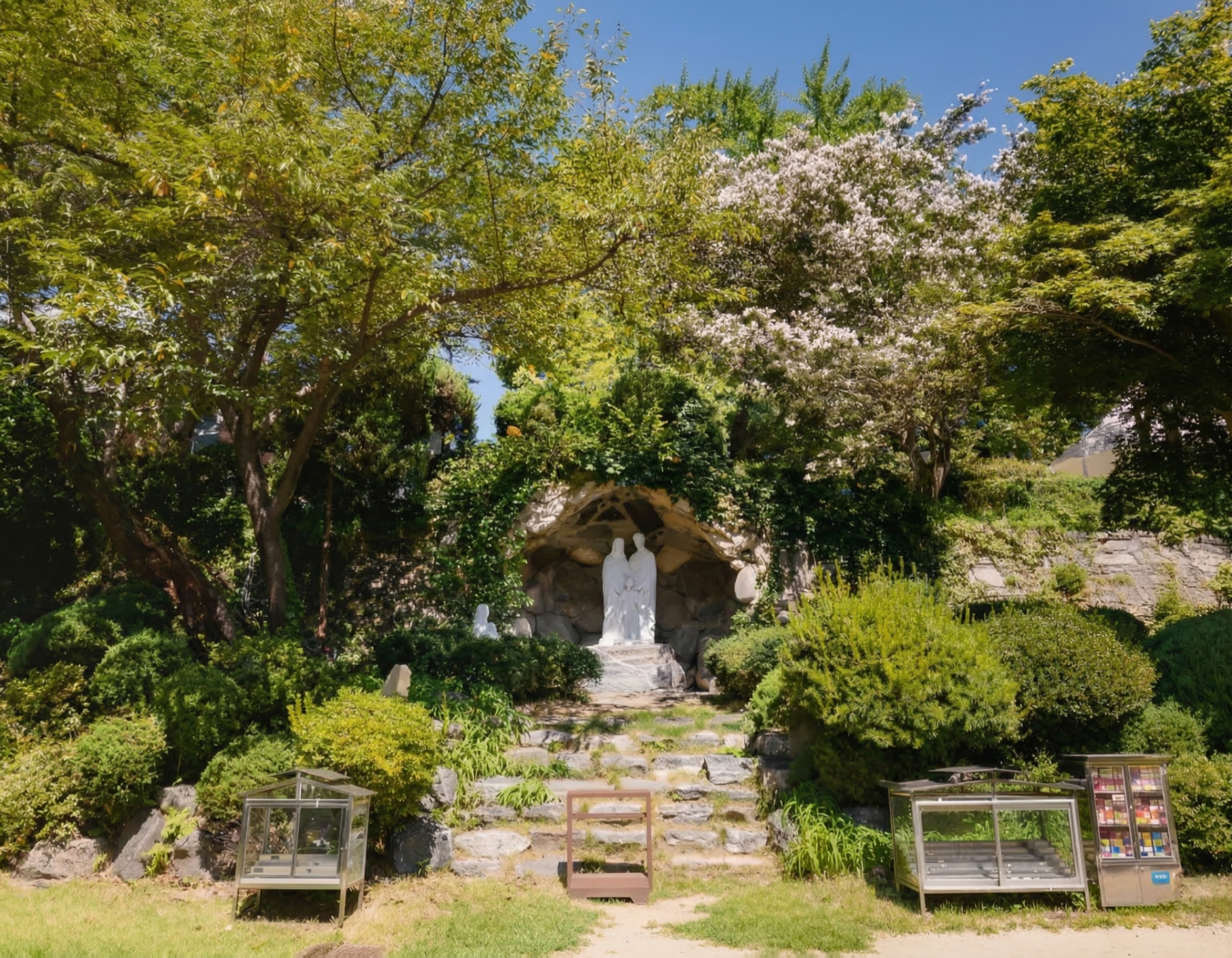 漫步於鬱鬱蔥蔥的森林小徑，偶然發現一處秘密花園——聖母洞。在櫻花飄舞的神秘氛圍中，享受片刻寧靜。