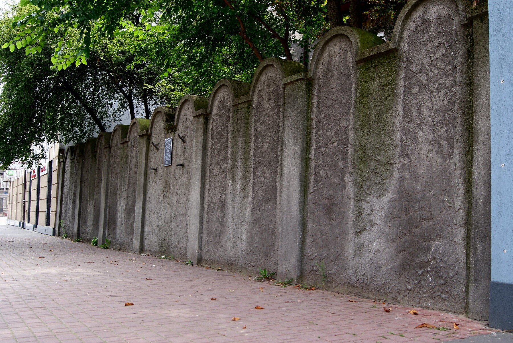 Fragment of the Wall