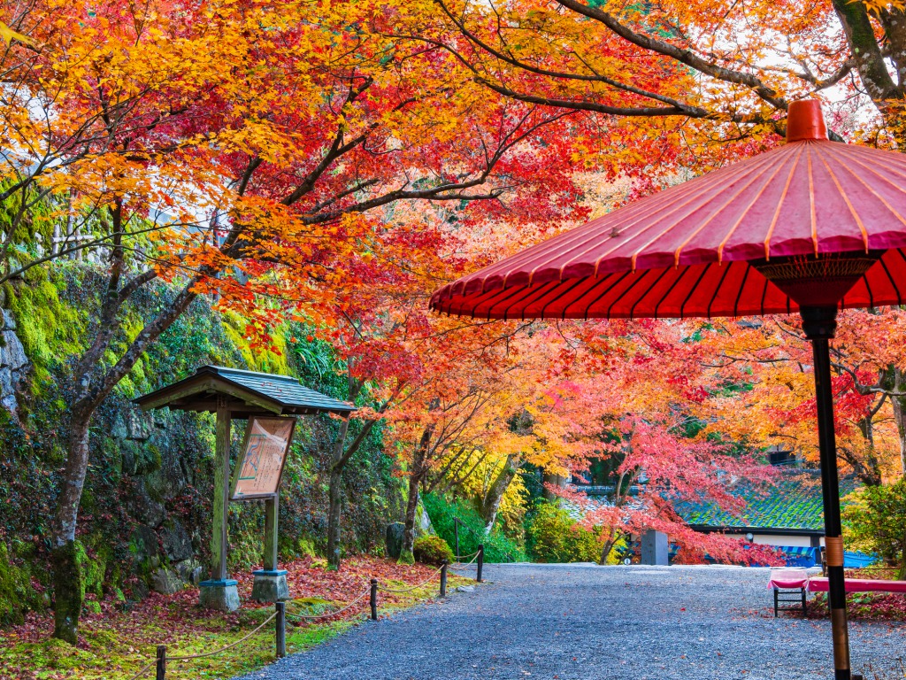 三千院位於京都大原山區，環境清幽，以青苔庭園與四季自然美景聞名。
院內供奉的阿彌陀三尊與石佛群像，更展現出日本古寺獨特的寧靜氛圍。