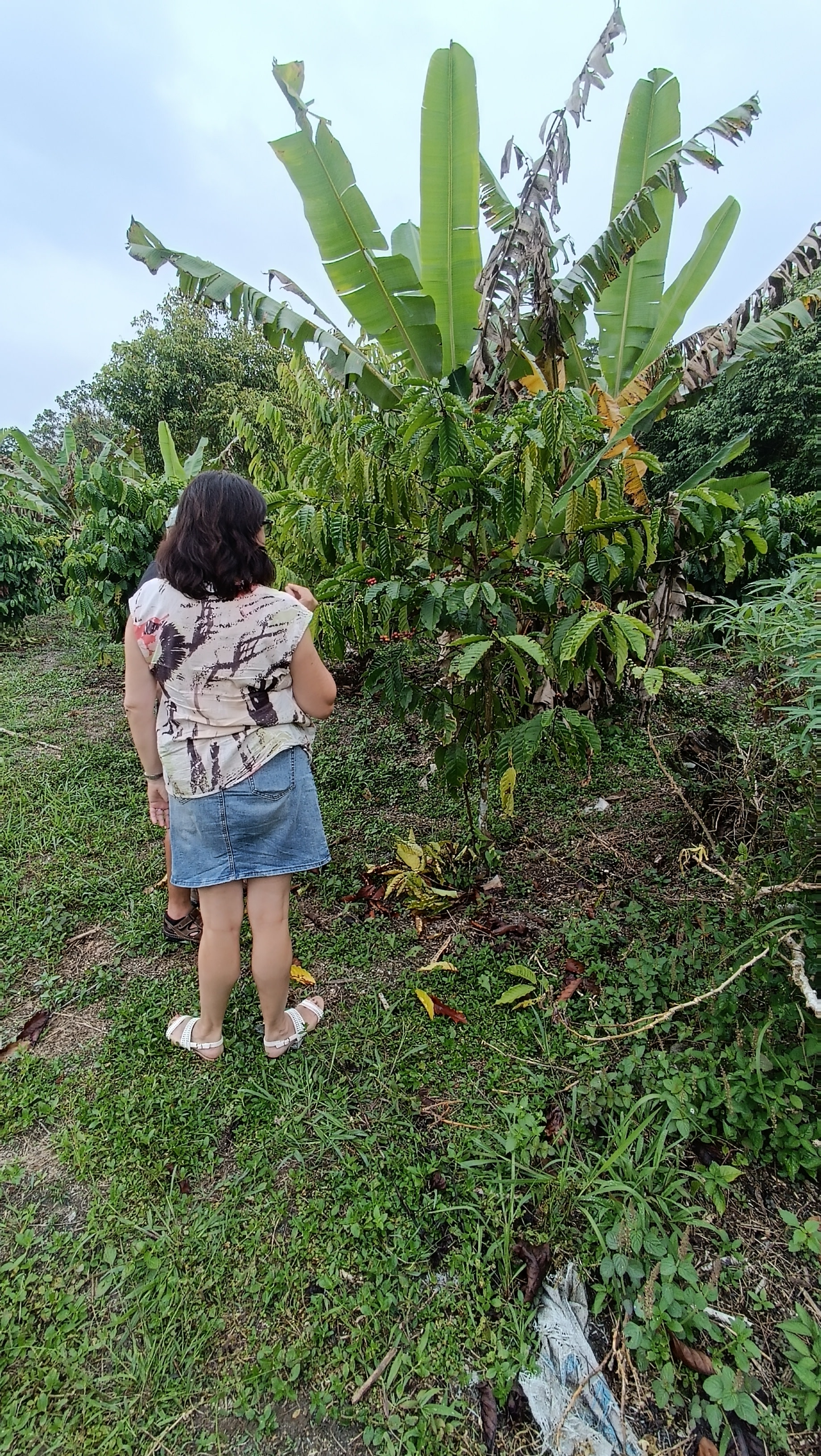 Kopi Sangit, Bee Farm, Blue Lake Half-Day Private Tour