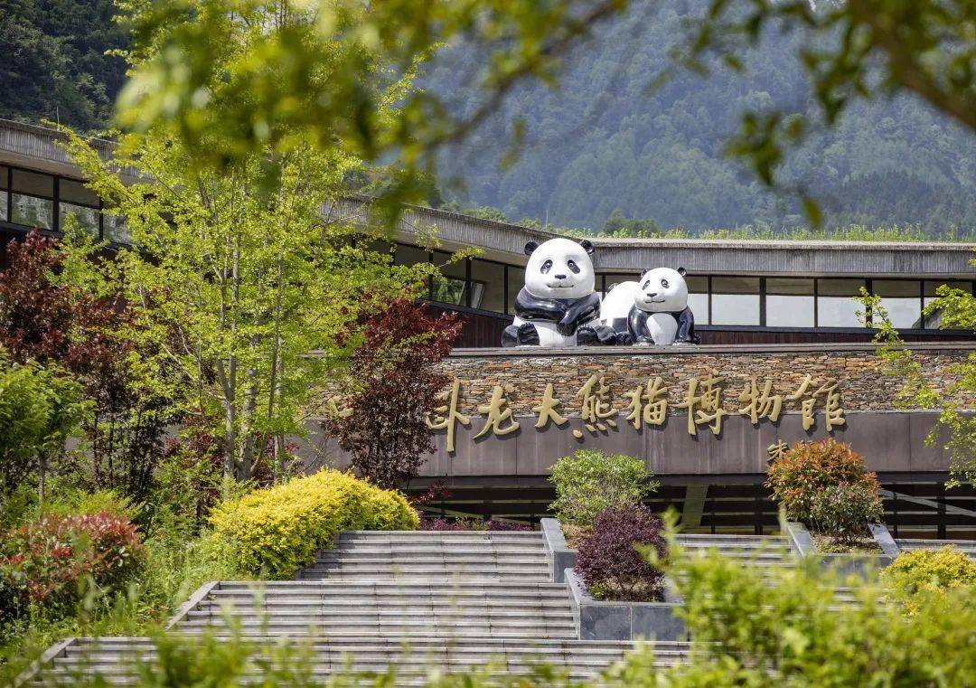 成都出發臥龍中華大熊貓苑神樹坪基地 私人導覽一日遊