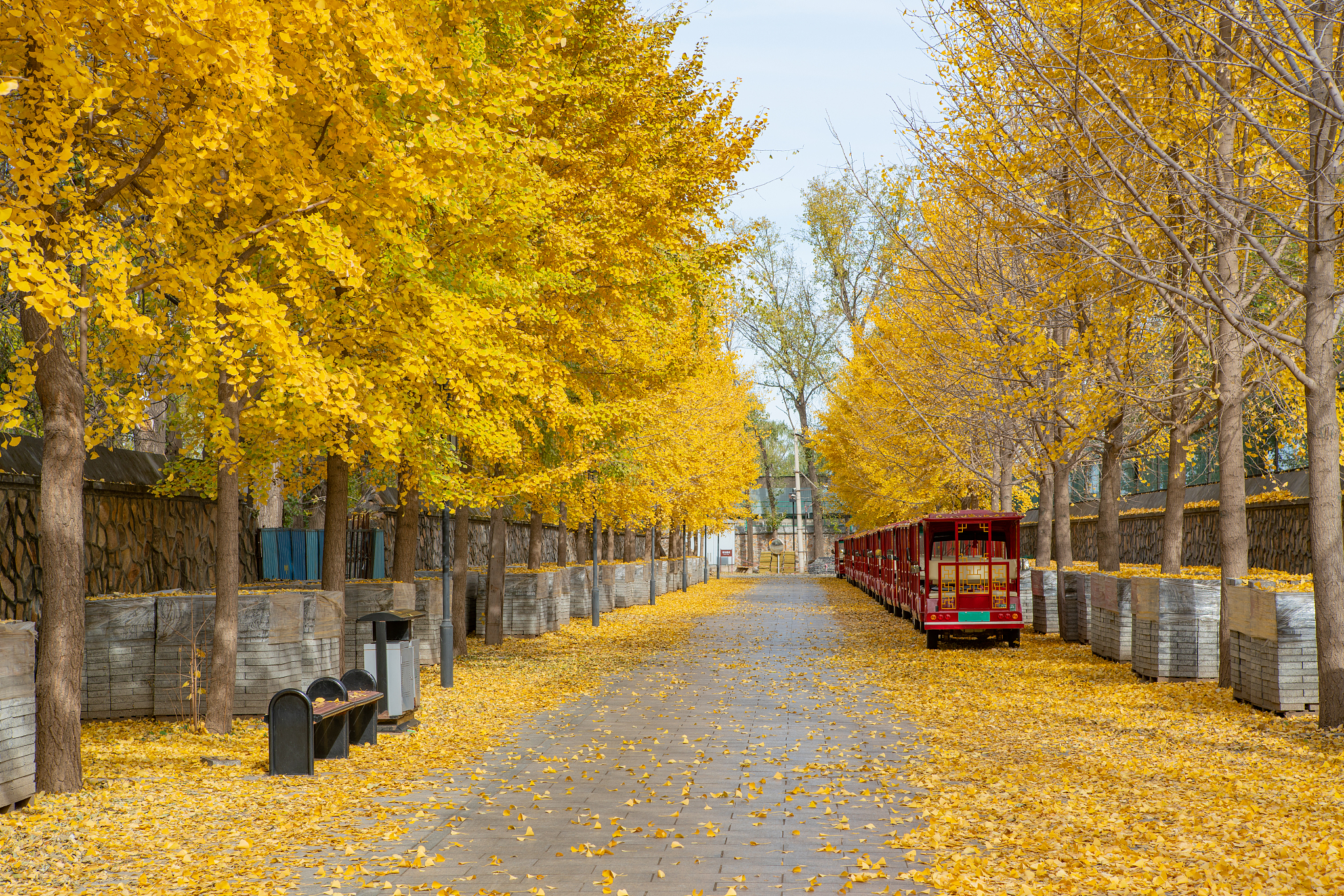 圓明園秋景