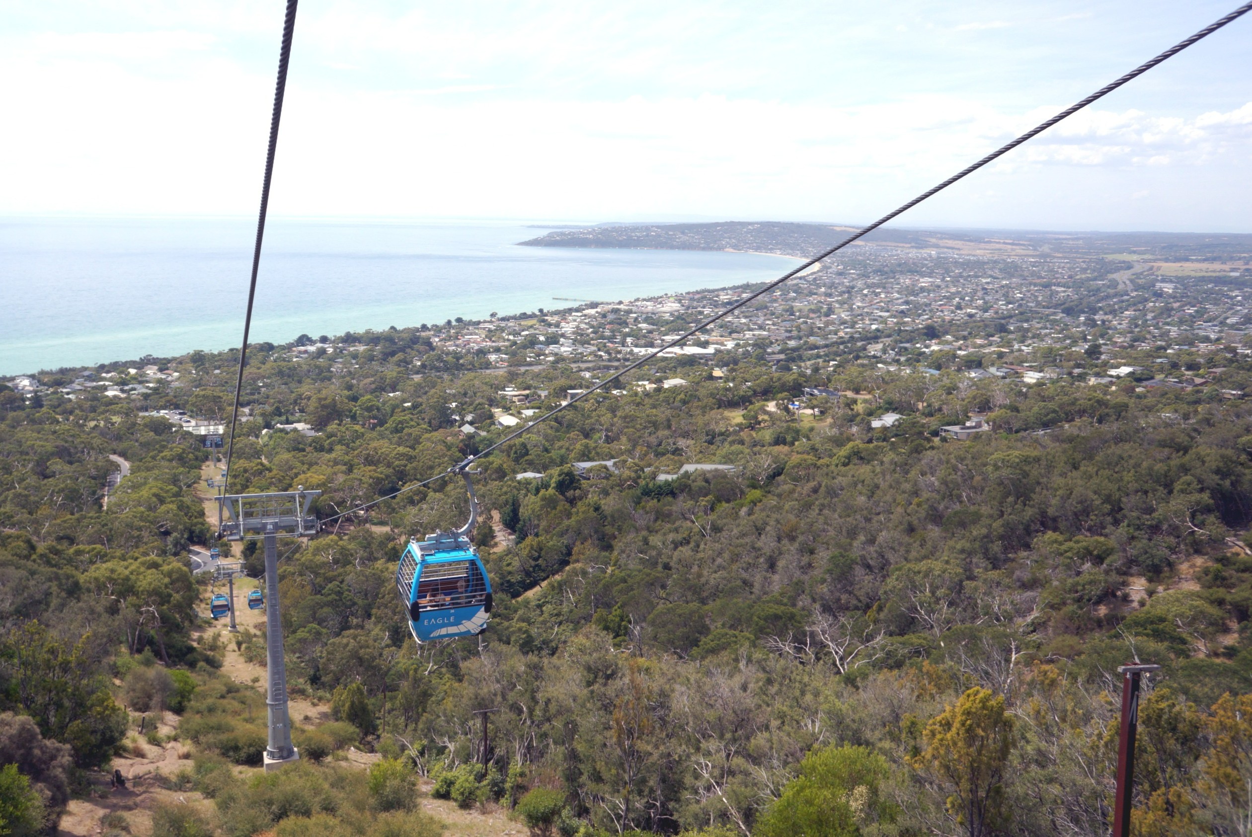 Mornington Peninsula Private Day Tour