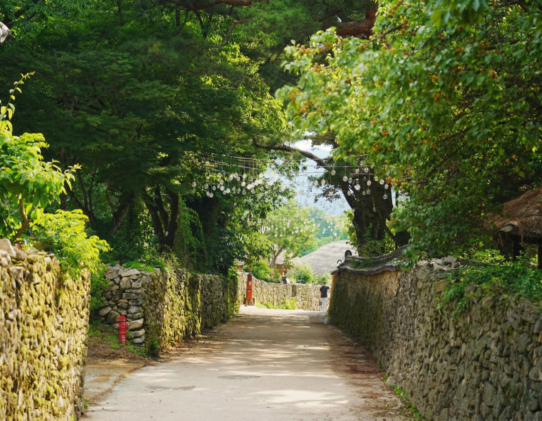 🌿 外岩村最大的魅力，就是那美麗的石牆路！漫步在綠樹成蔭、燈光點綴的石牆路上，盡情享受寧靜而神秘的氛圍。這裡是最棒的散步道。